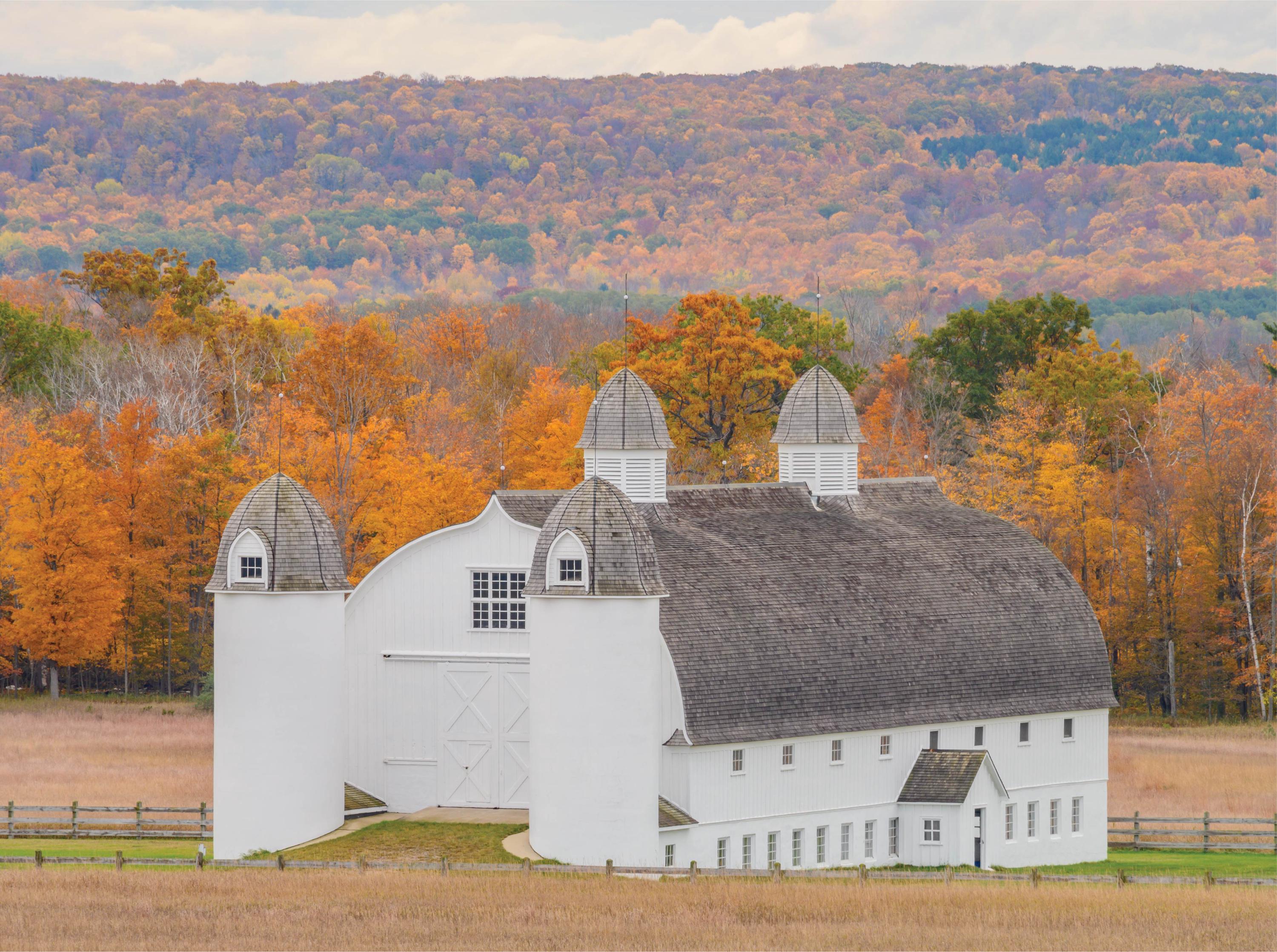 Image of Farm Puzzles