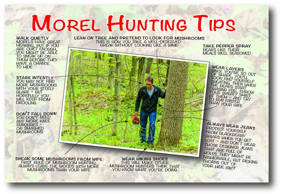 Image of MOREL HUNTER - Generic Postcard
