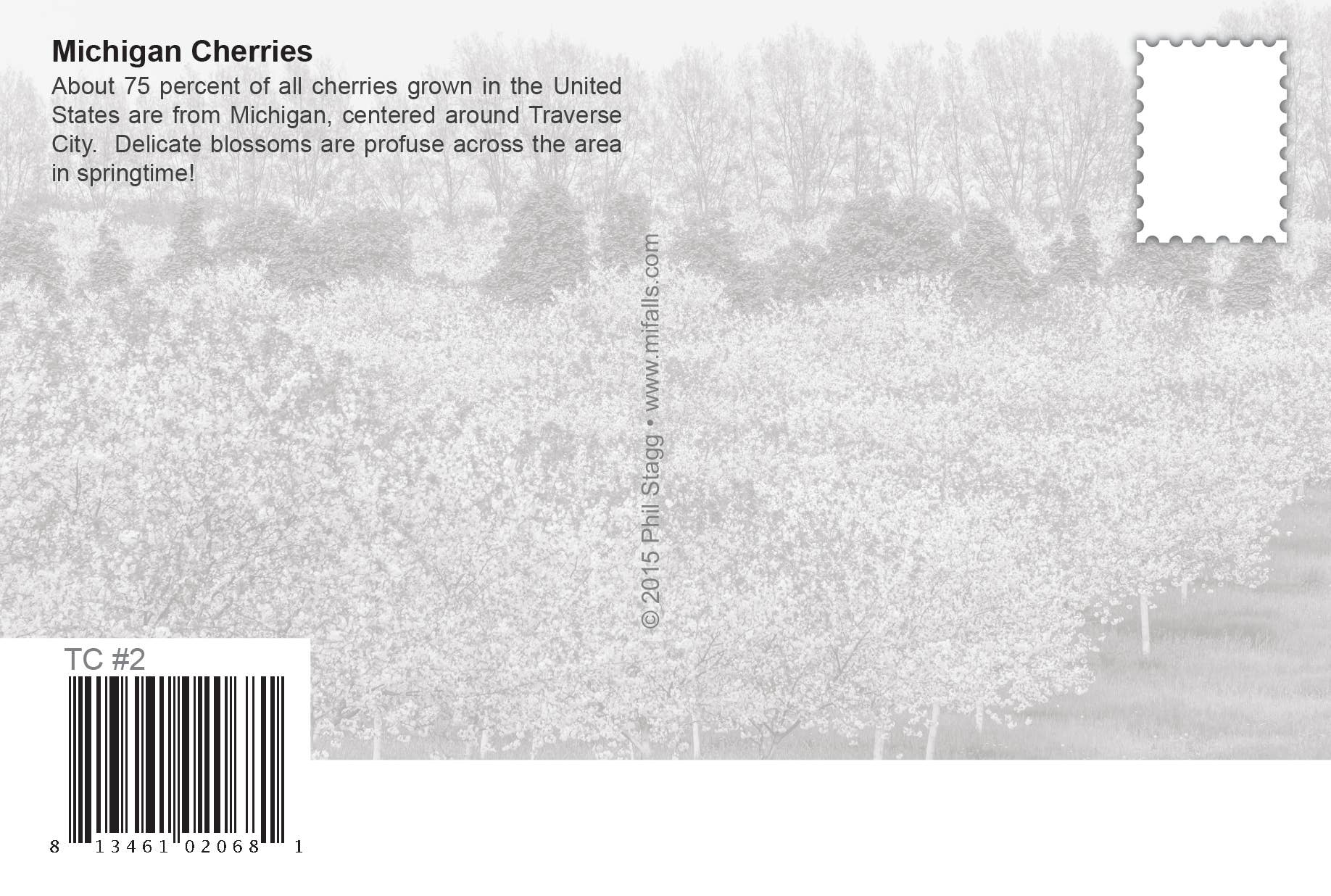 MICHIGAN CHERRIES - Michigan Postcard - Delicate Blossoms