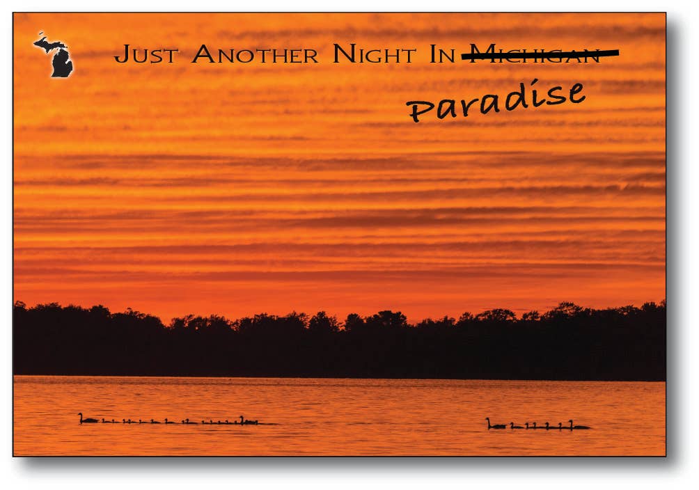 Image of JUST ANOTHER NIGHT IN PARADISE - Michigan Postcard