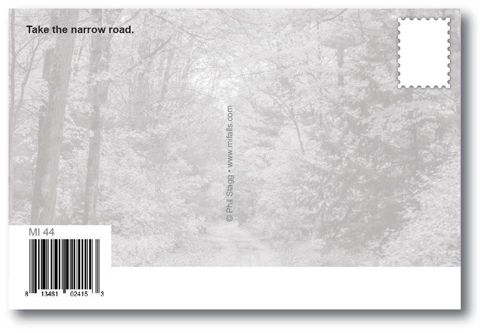 TAKE THE ROAD LESS TRAVELED - Generic Postcard
