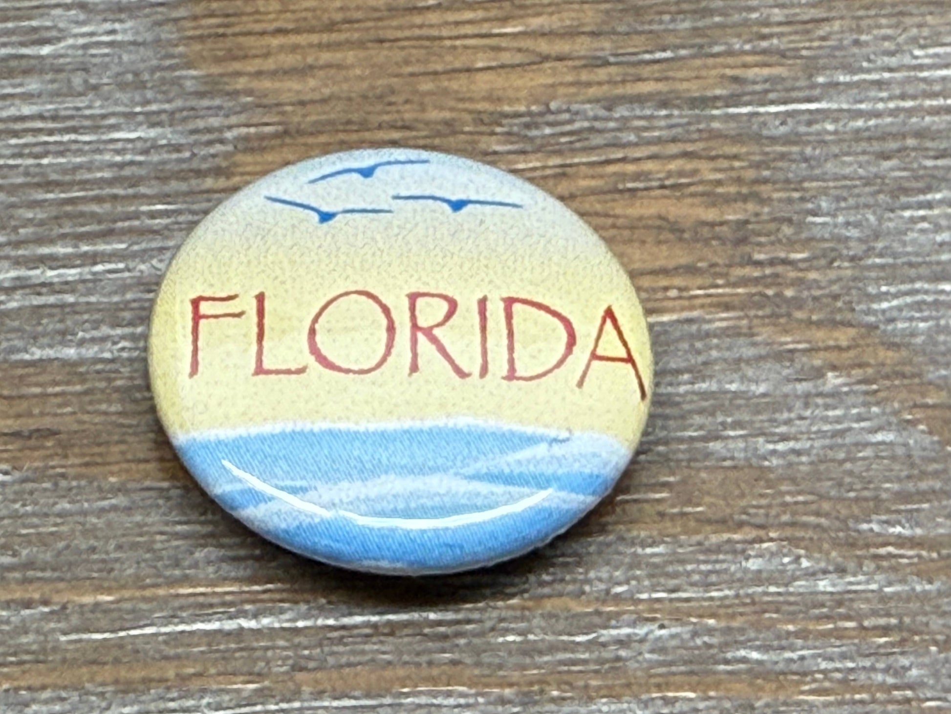 FLORIDA PINS - OCEAN W/SUNSET