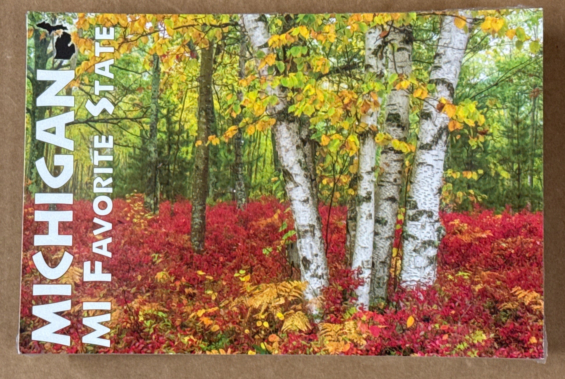 MI FAVORITE STATE - Michigan Postcard