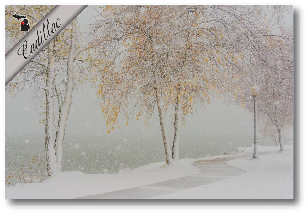 Image of Winter Walkway - CADILLAC - Michigan Postcard