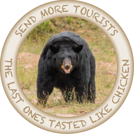 BLACK BEAR - CHICKEN - HUMOROUS - 3" BUTTON MAGNET