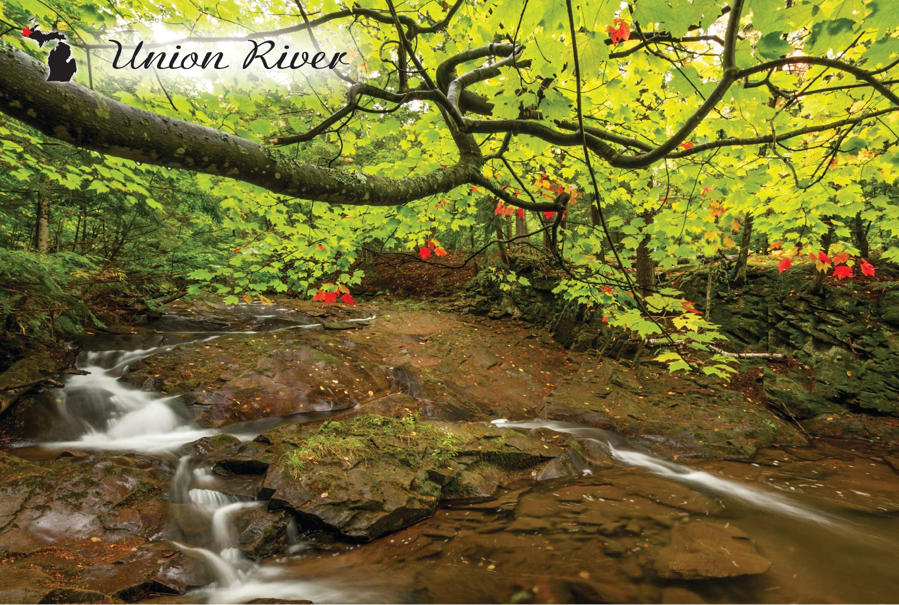 Image of UNION RIVER FALLS - EARLY AUTUMN - Michigan Postcard