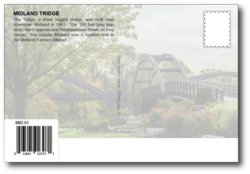 Image of MIDLAND TRIDGE - Michigan Postcard