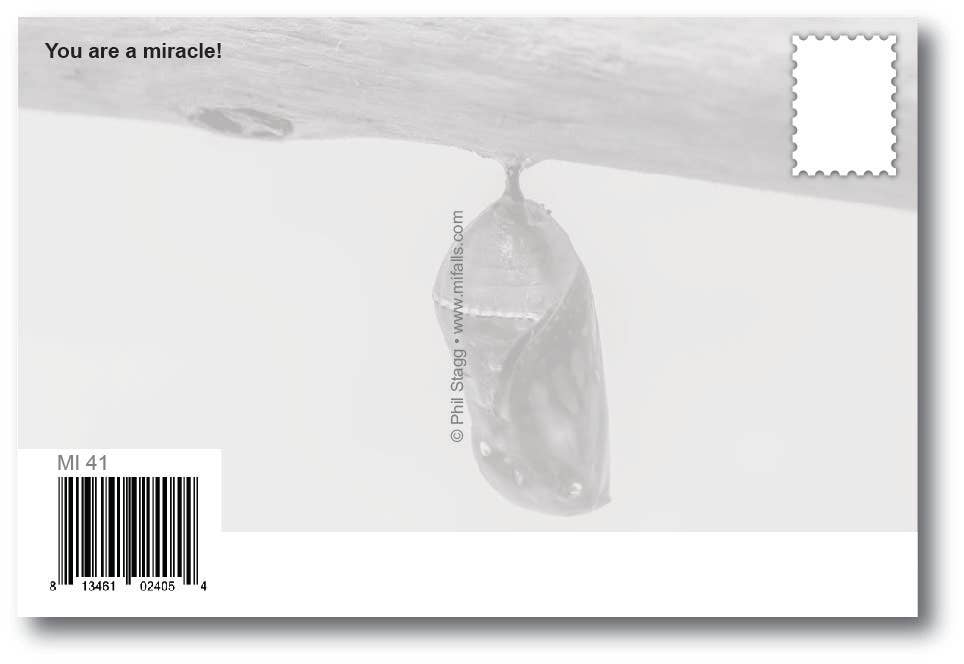 TIME TO FLY - Generic Postcard