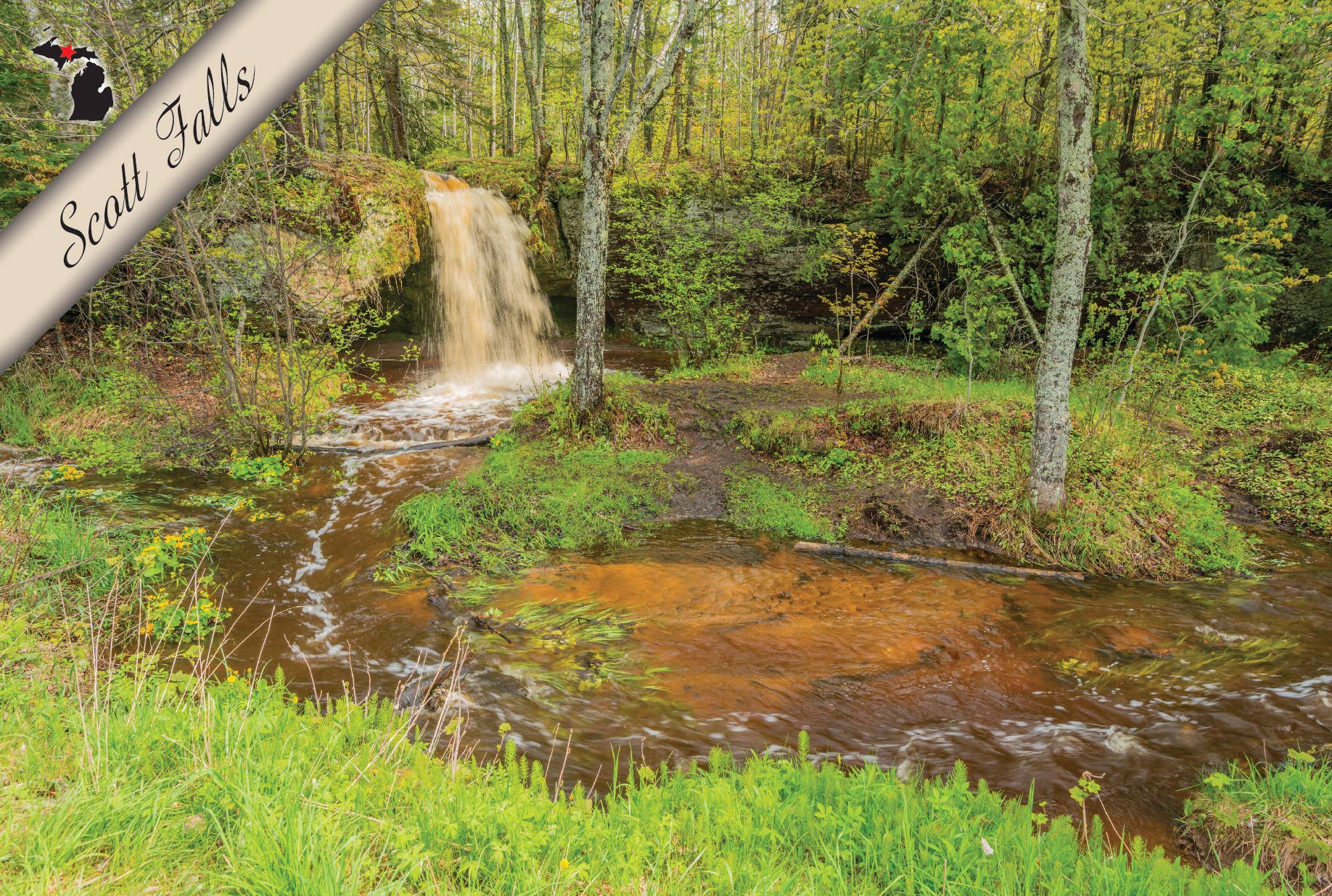 Scott Falls | Postcard