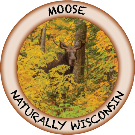MOOSE | WISCONSIN | 3" BUTTON MAGNET