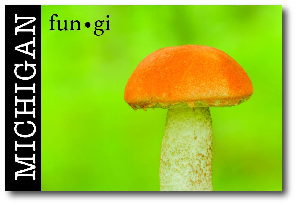 Michigan fun•gi - Michigan Postcard
