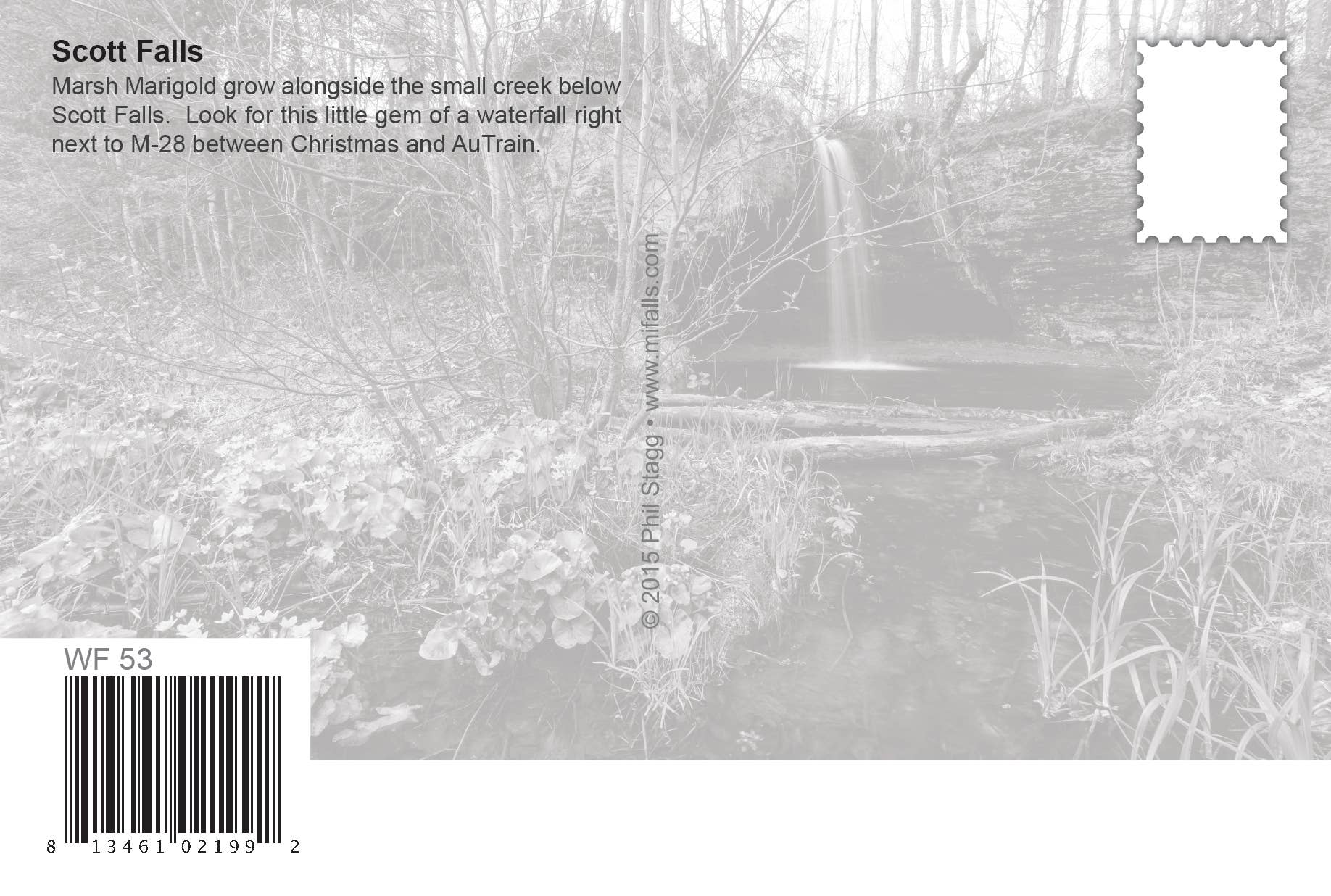 Image of Scott Falls | Postcard