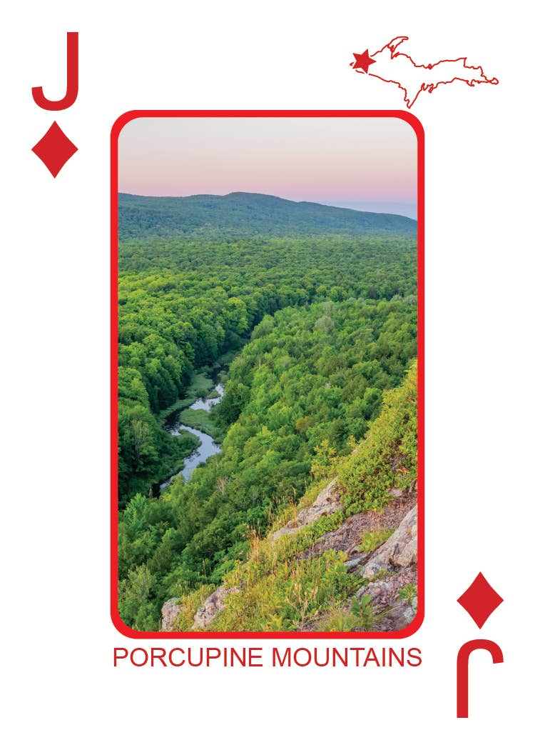 Image of YOOPER CARDS - Playing Cards - Euchre Friendly