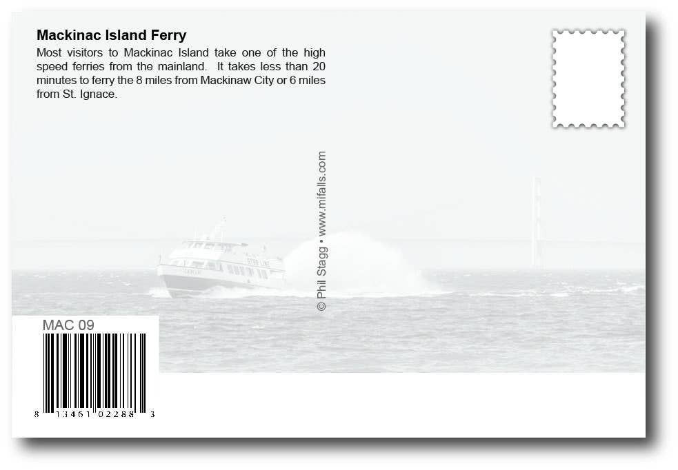 Image of WE'RE GOING TO MACKINAC ISLAND! postcard
