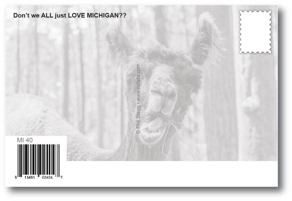 Image of I (heart) Michigan - Michigan Postcard