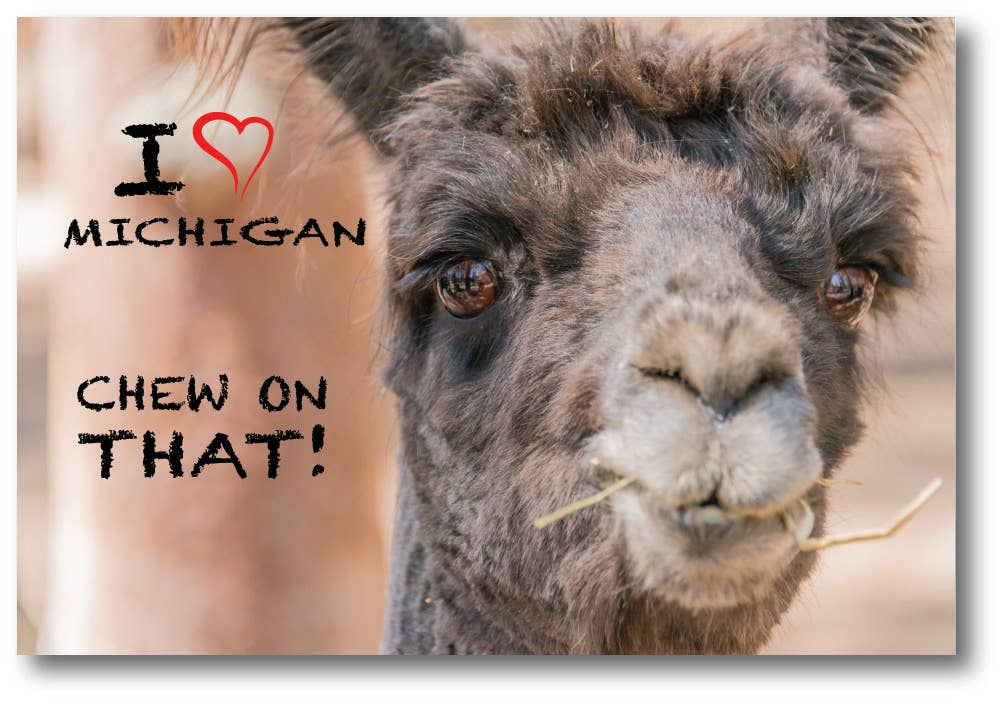 Image of I (heart) Michigan - Michigan Postcard