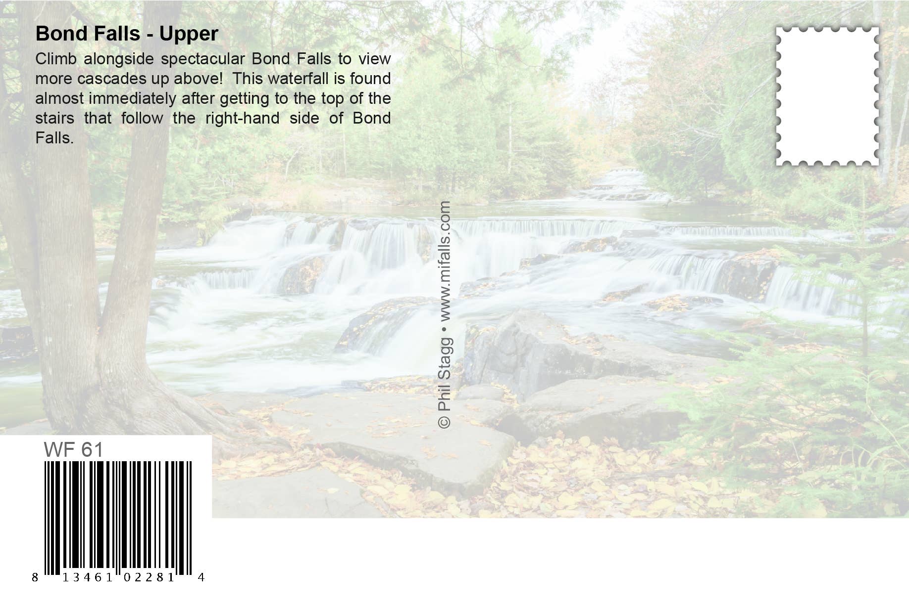 Bond Falls Postcard - Fall Color