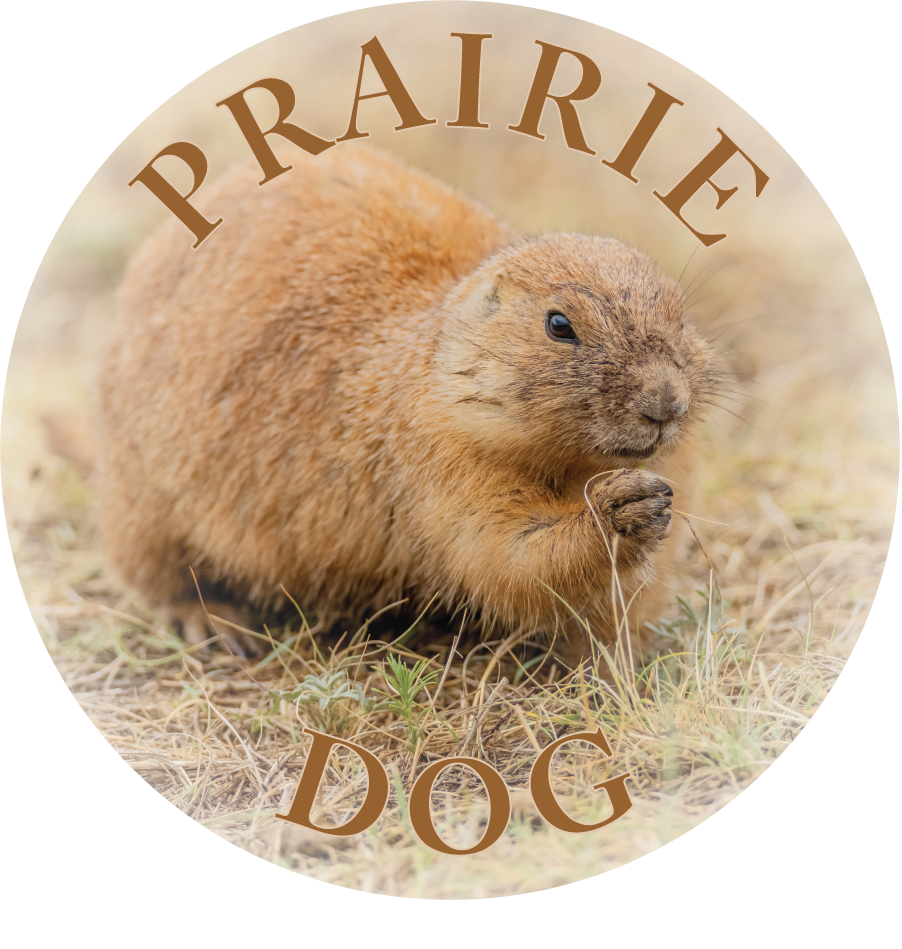 PRAIRIE DOG - FLEXIBLE MAGNET