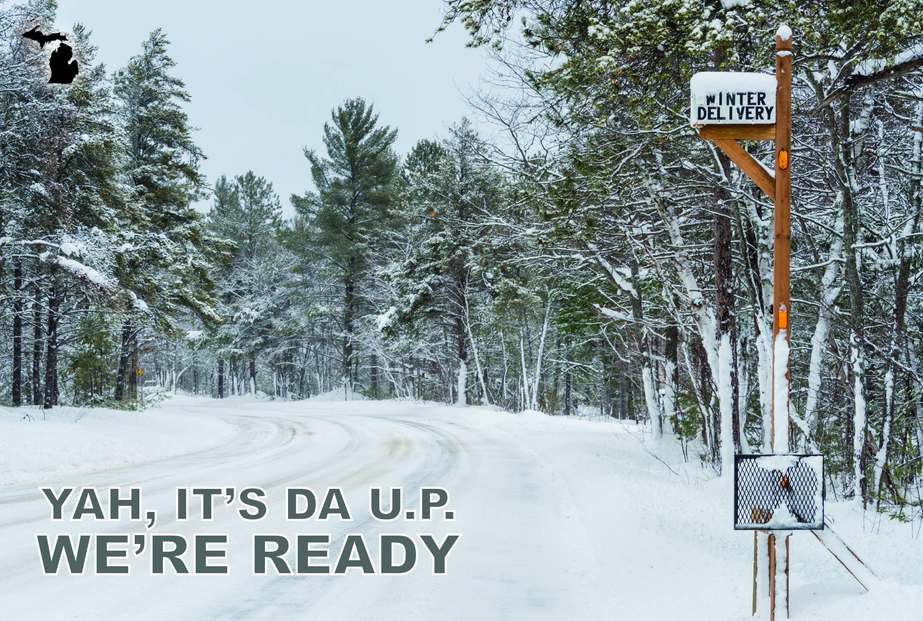 Image of WINTER DELIVERY - Michigan Postcard