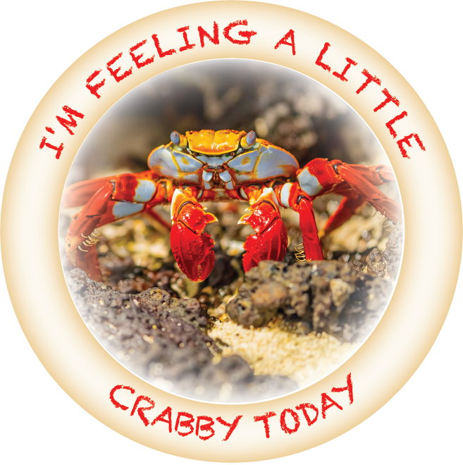 Image of FEELING CRABBY - HUMOROUS  - 2 1/4