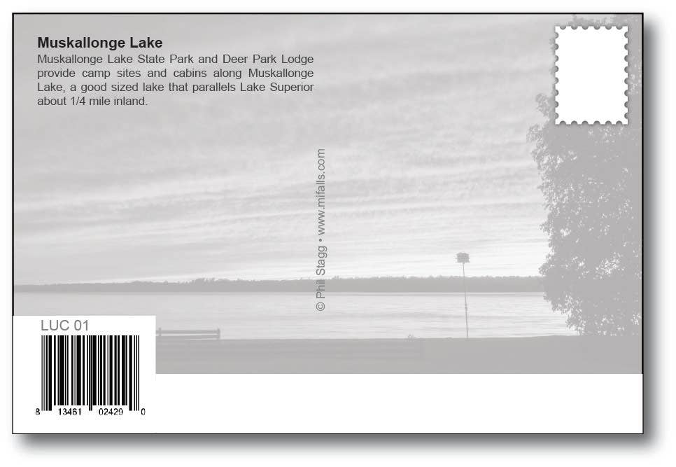 MUSKALLONGE LAKE - Michigan Postcard