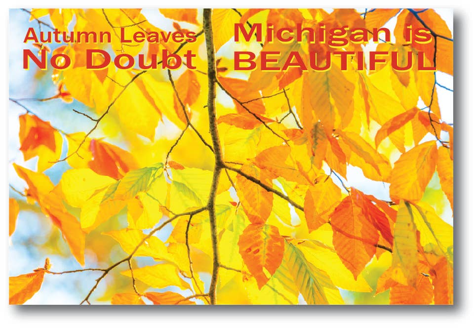 AUTUMN LEAVES NO DOUBT - Michigan Postcard