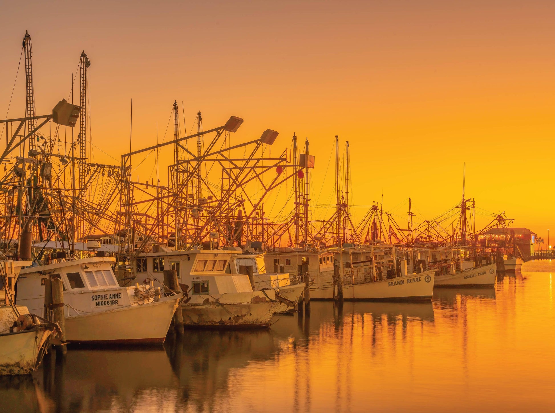The Shrimp Boats - 1000 Piece Puzzle