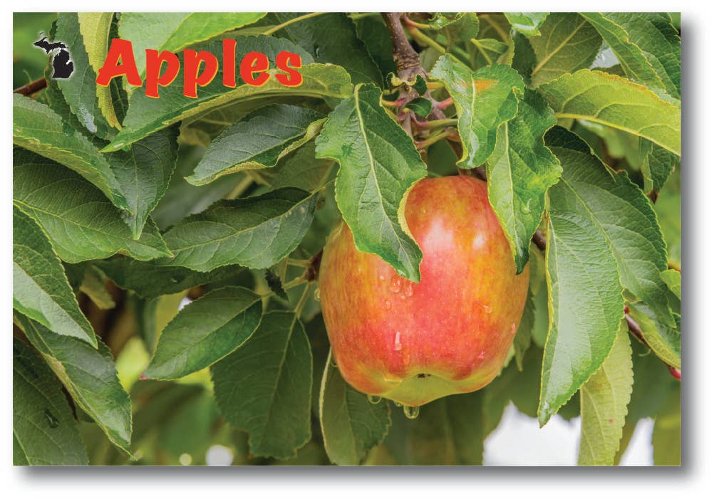 Image of APPLES - Michigan Themed Postcards
