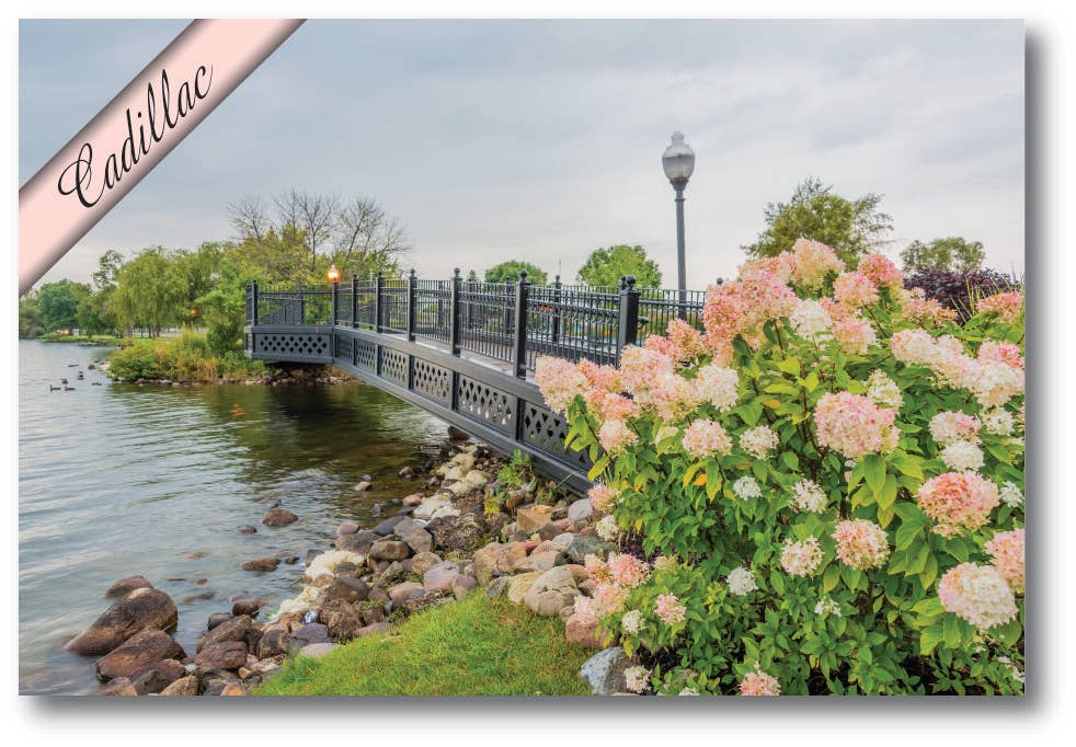 Image of CLAM RIVER BRIDGE - Michigan Postcard