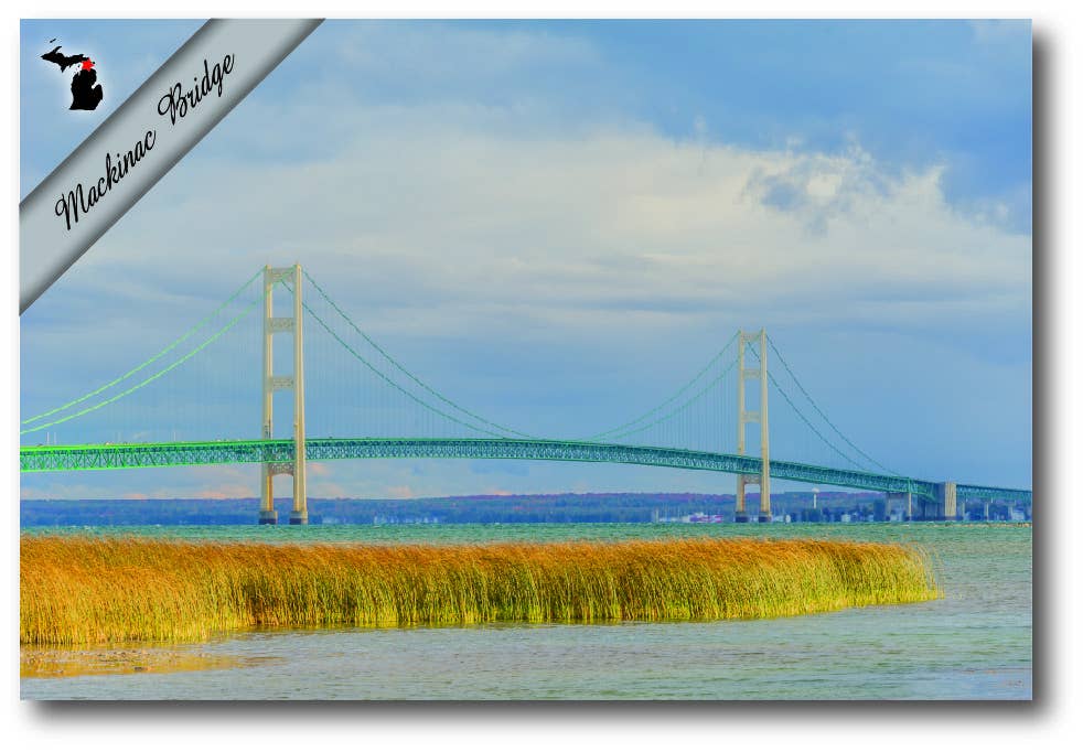 MACKINAC BRIDGE - GOLDEN GRASSES - Michigan Postcard
