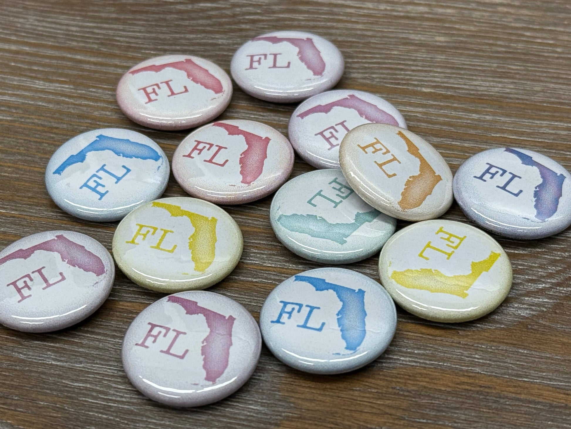 FLORIDA PINS - STATE OUTLINE w/FL