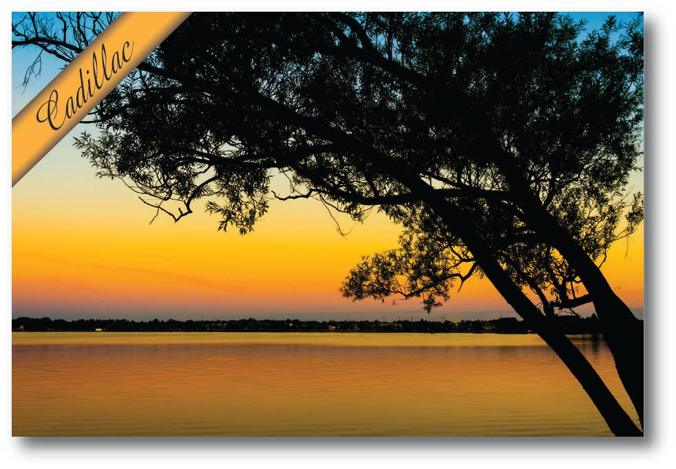 SILHOUETTED TREE ON LAKE CADILLAC - Michigan Postcard