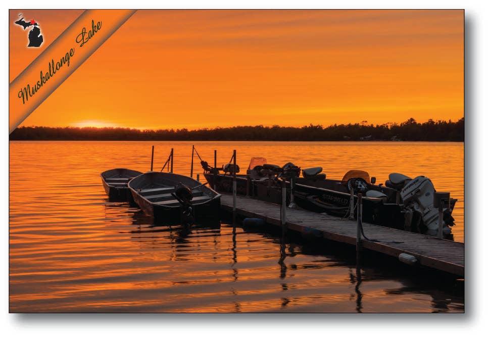 Image of MUSKALLONGE LAKE - Michigan Postcard