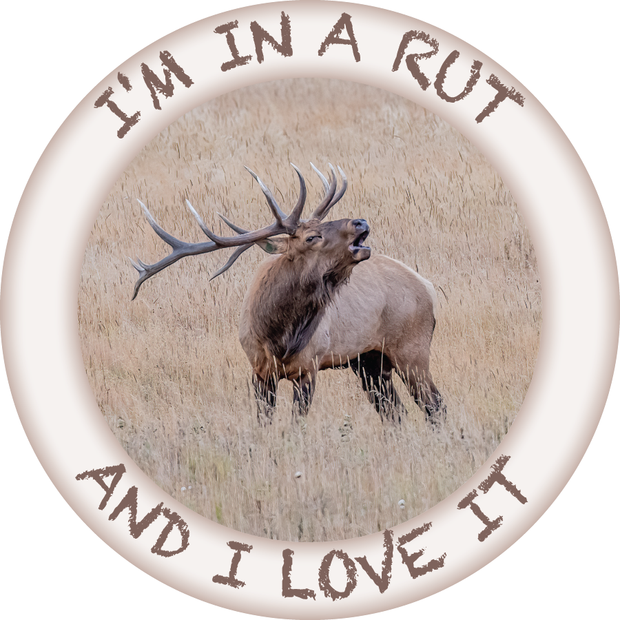 Image of ELK | 3