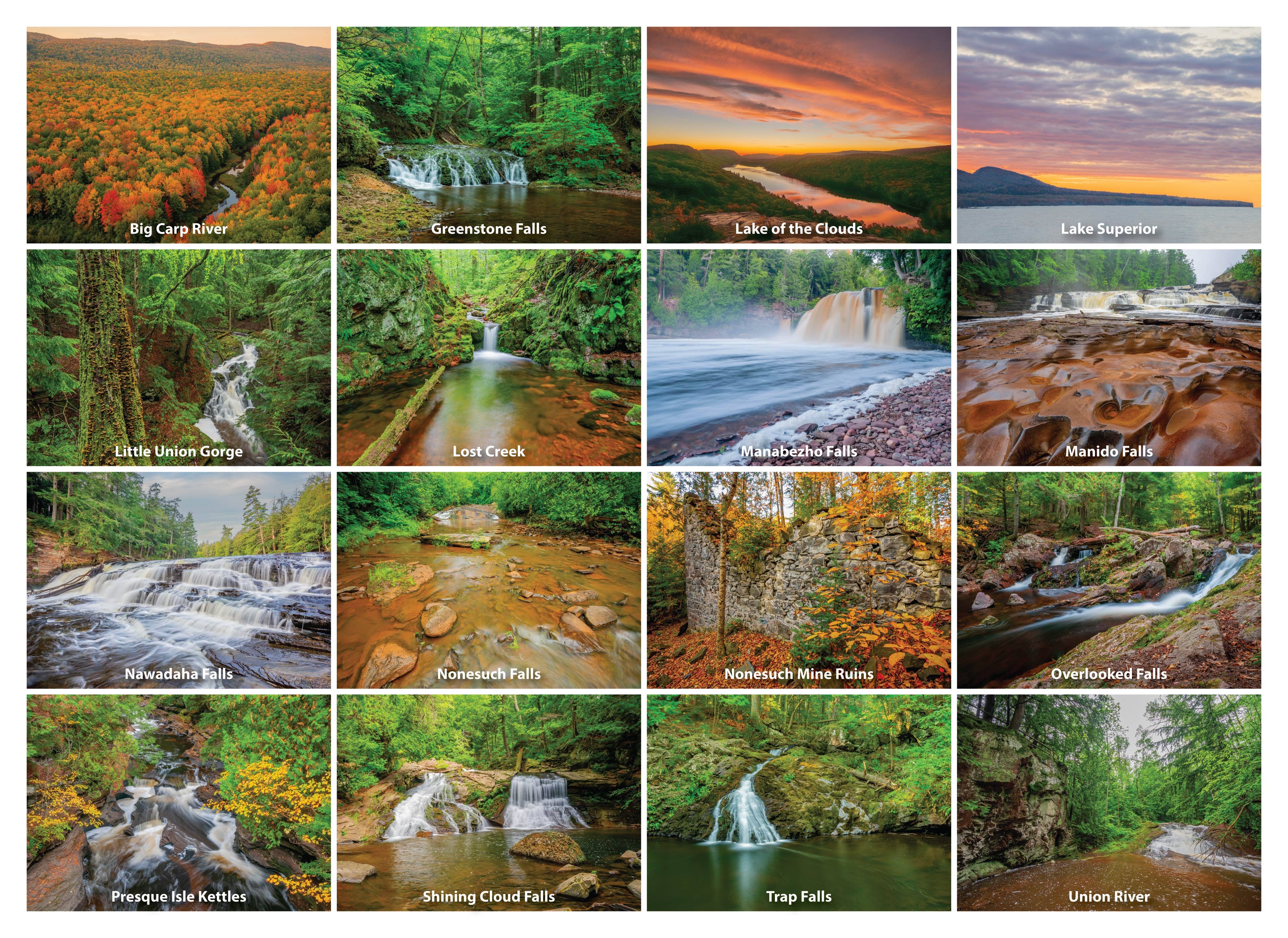 Image of THE PORKIES - 1000 Piece Puzzle