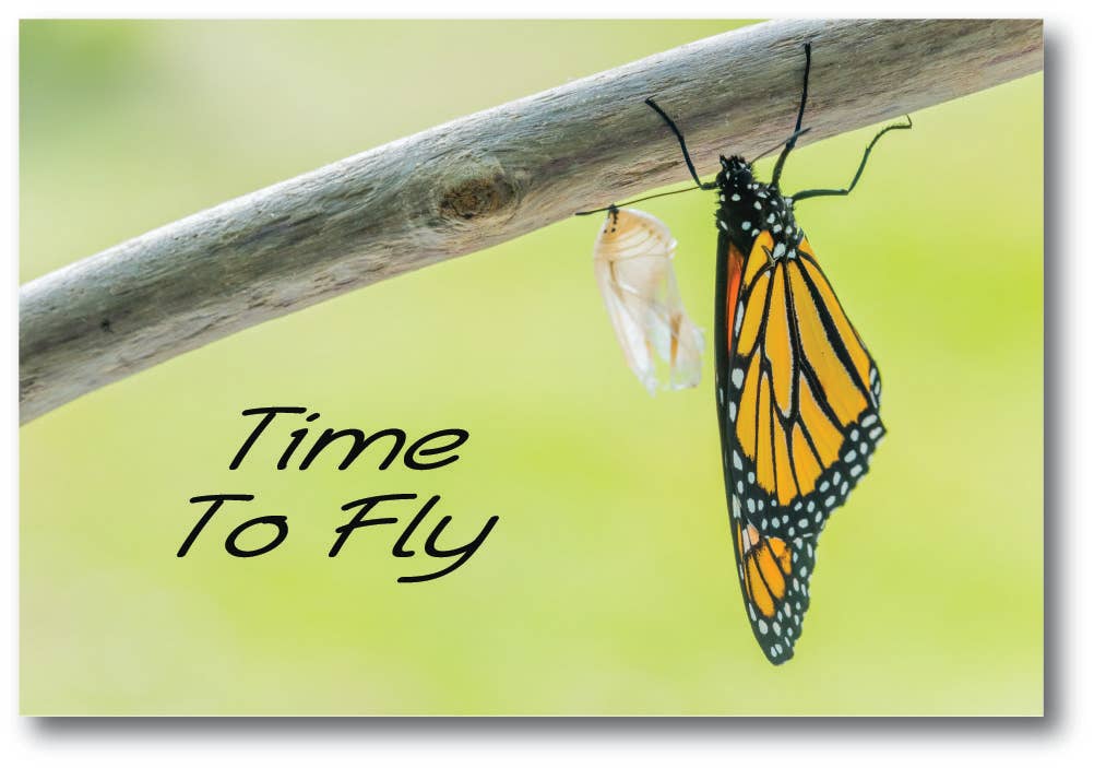 TIME TO FLY - Generic Postcard