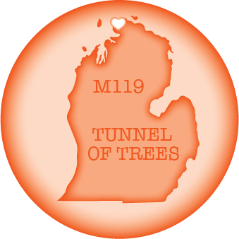 Image of TUNNEL OF TREES | M119 | 2.25