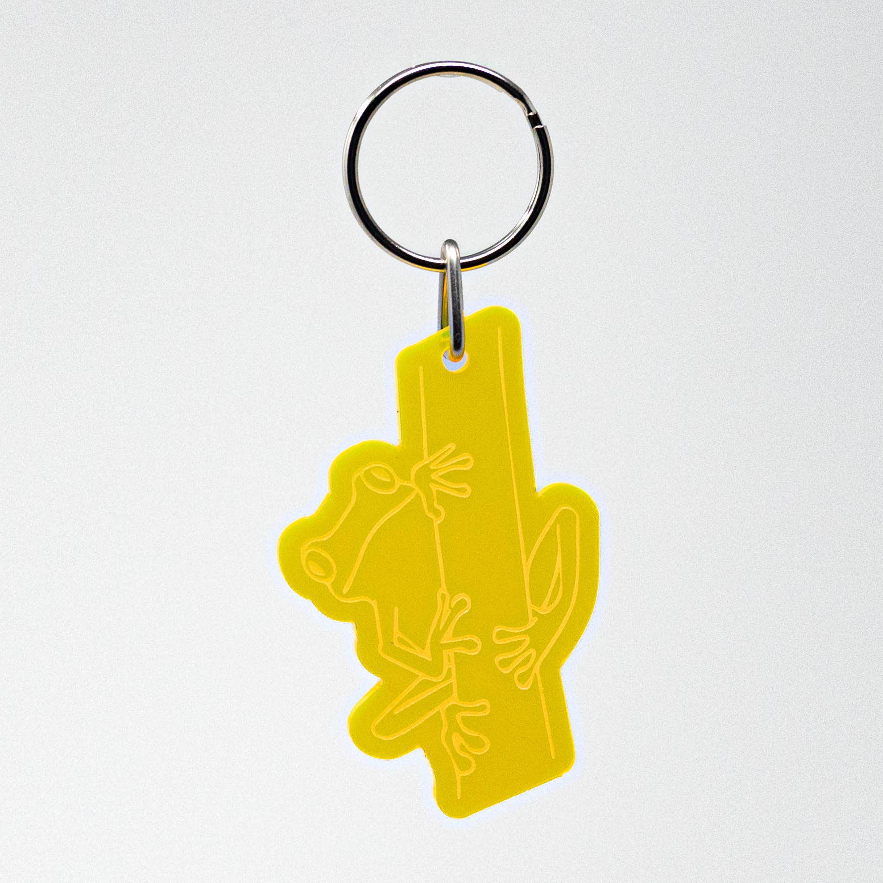 Frog - Acrylic Keychain - Perfect for Nature Lovers!
