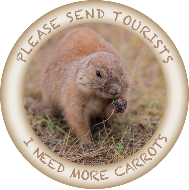 Image of I NEED CARROTS - HUMOROUS - 2 1/4