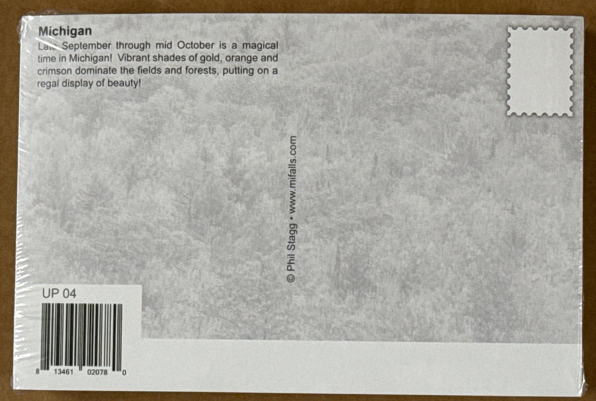 MI FAVORITE STATE - Michigan Postcard