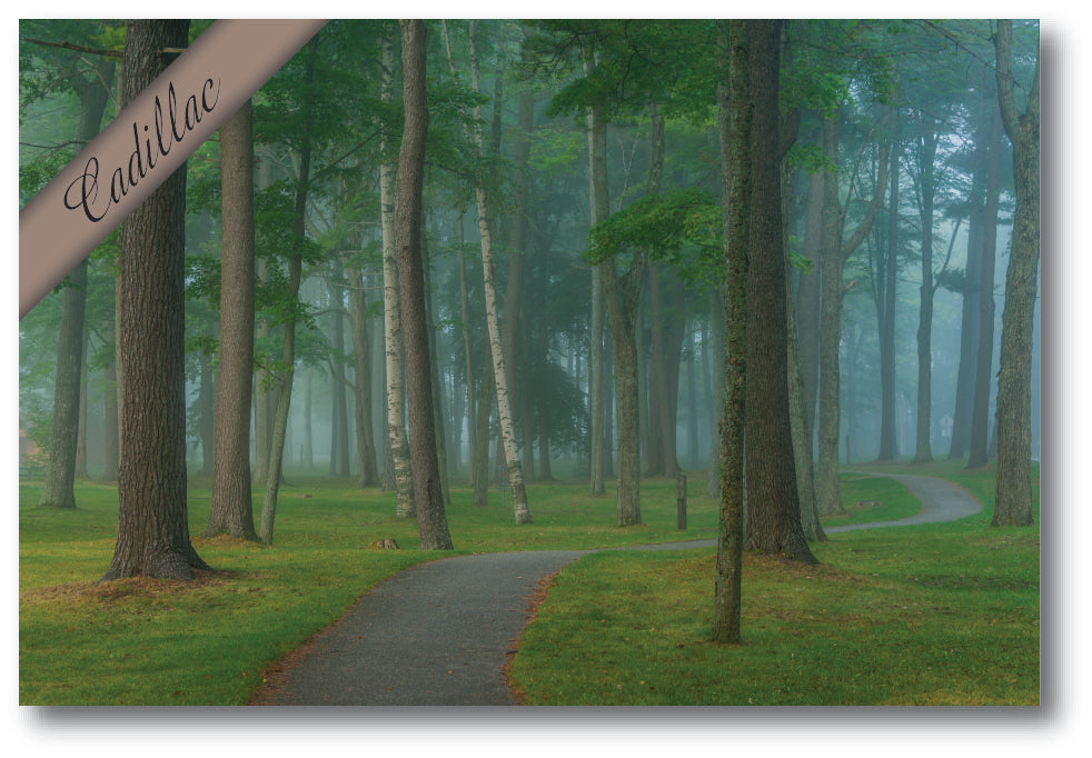 Cadillac, Michigan - Kenwood Park Foggy Morning - 4"x6" Quality Postcard