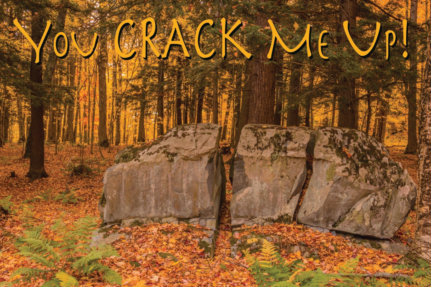 Image of YOU CRACK ME UP - HUMEROUS - 4
