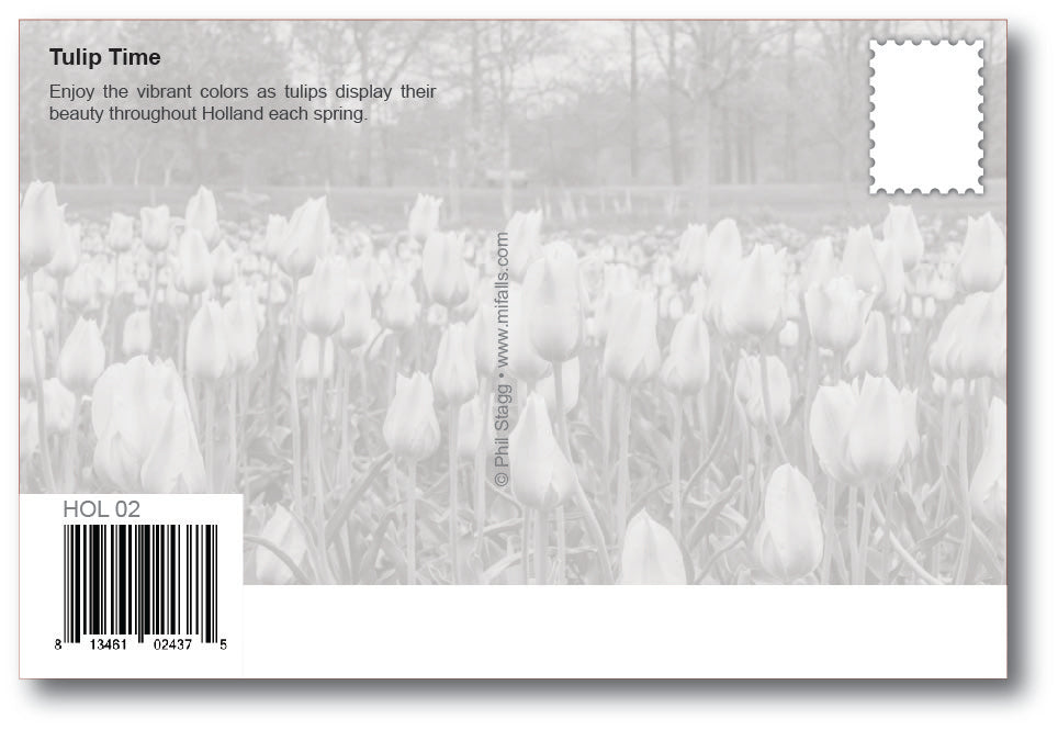 Image of HOLLAND TULIP TIME FESTIVAL - 4