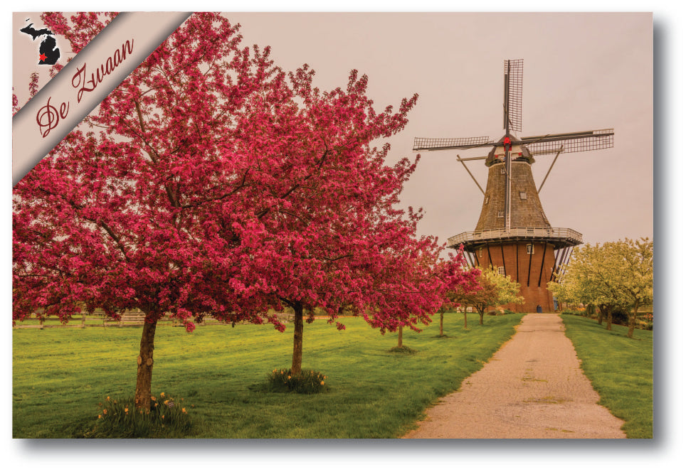 Image of DE ZWAAN - HOLLAND - 4