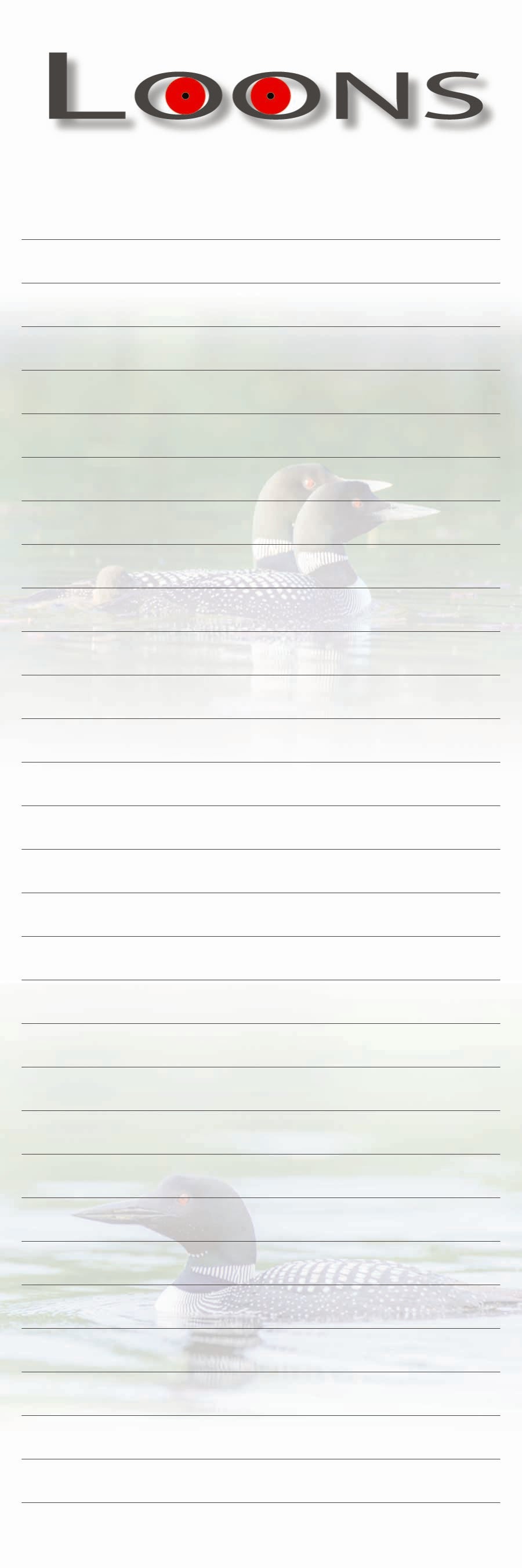 Loons - 3"x9" Magnetic Notepad - 50 sheets