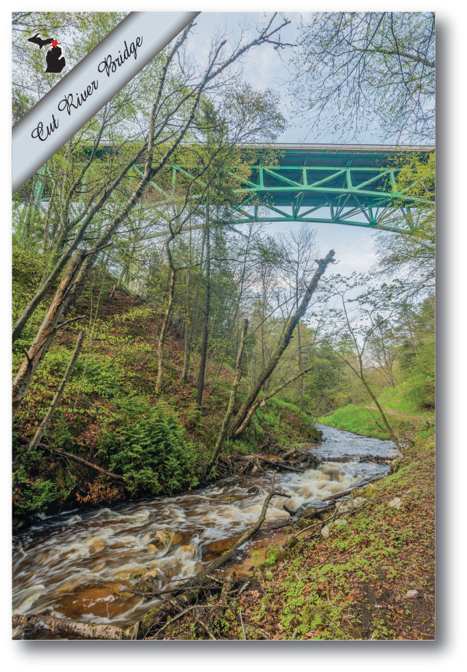 Image of CUT RIVER BRIDGE - 4