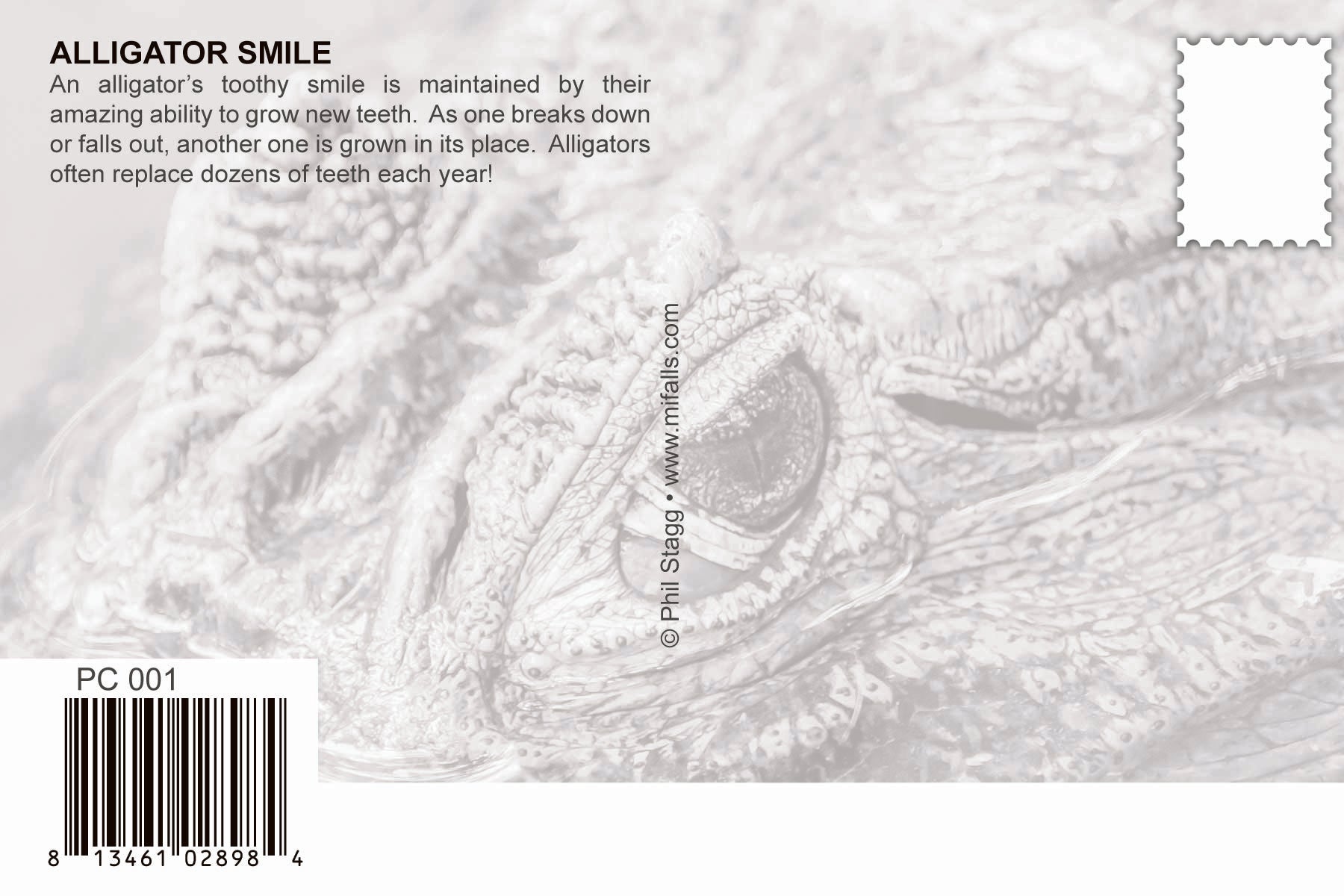 Image of KILLER SMILE - humorous - Postcard