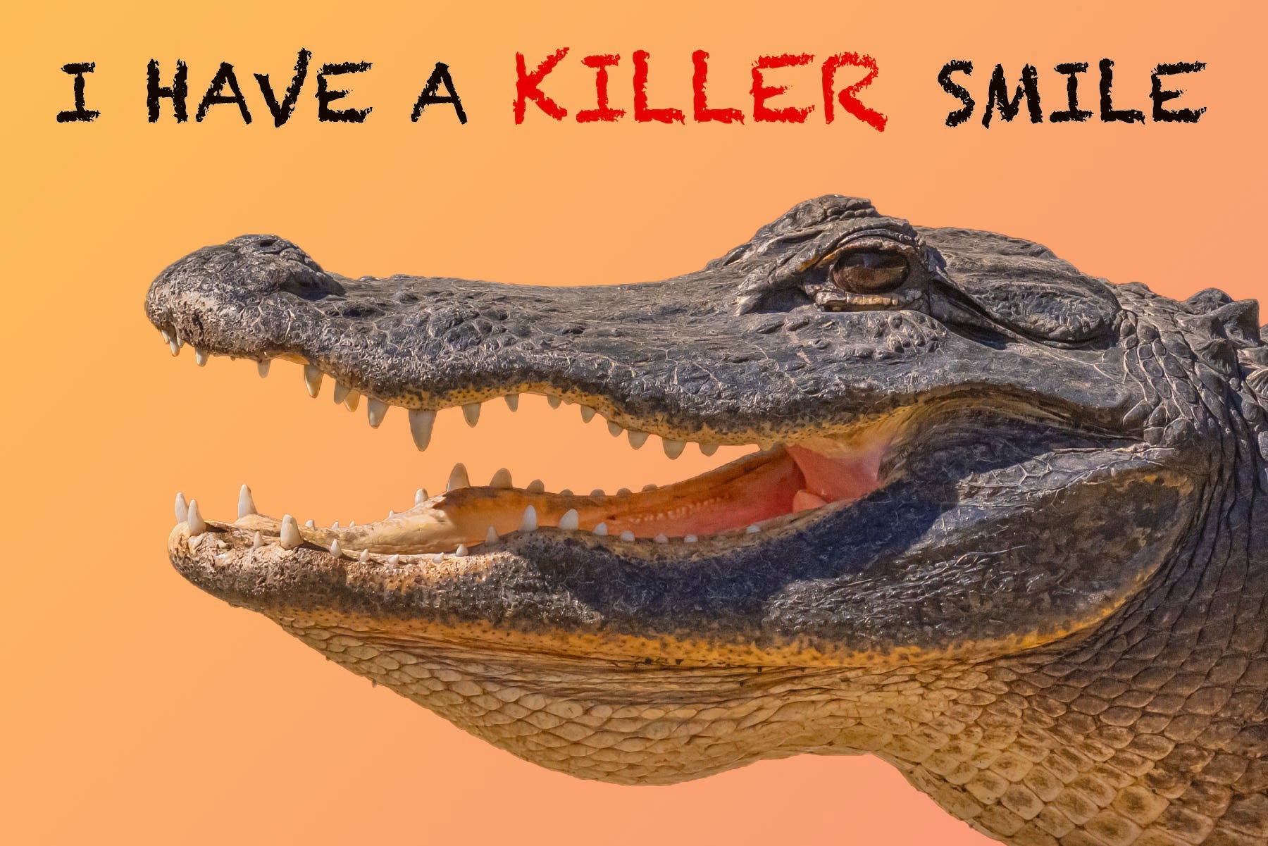 Image of KILLER SMILE - humorous - Postcard