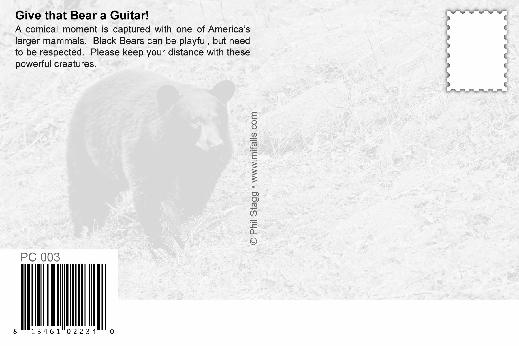 Image of THE JAMMIN' BEAR - Humorous Postcard