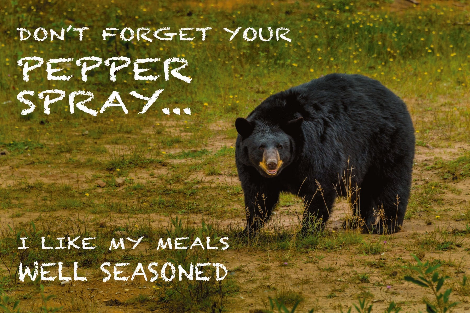 DON'T FORGET YOUR PEPPER SPRAY - 4"x6" Humorous Postcard